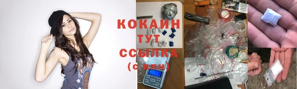 крисы Кукмор