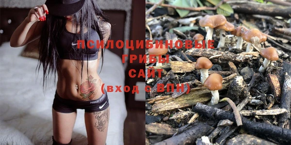 крисы Кукмор