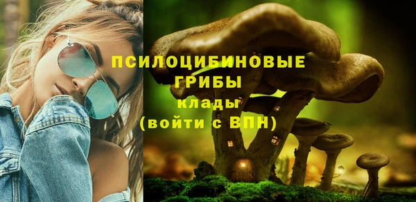 мескалин Кулебаки