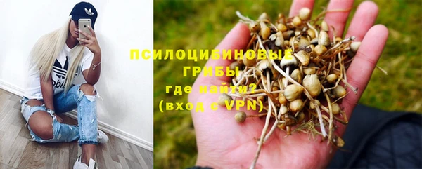 гидропоника Куйбышев